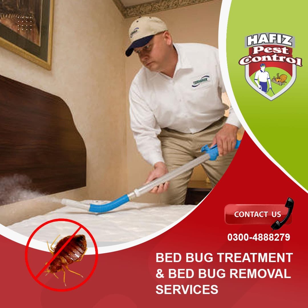 Bed Bug Treatment and Bed Bug Removal Services