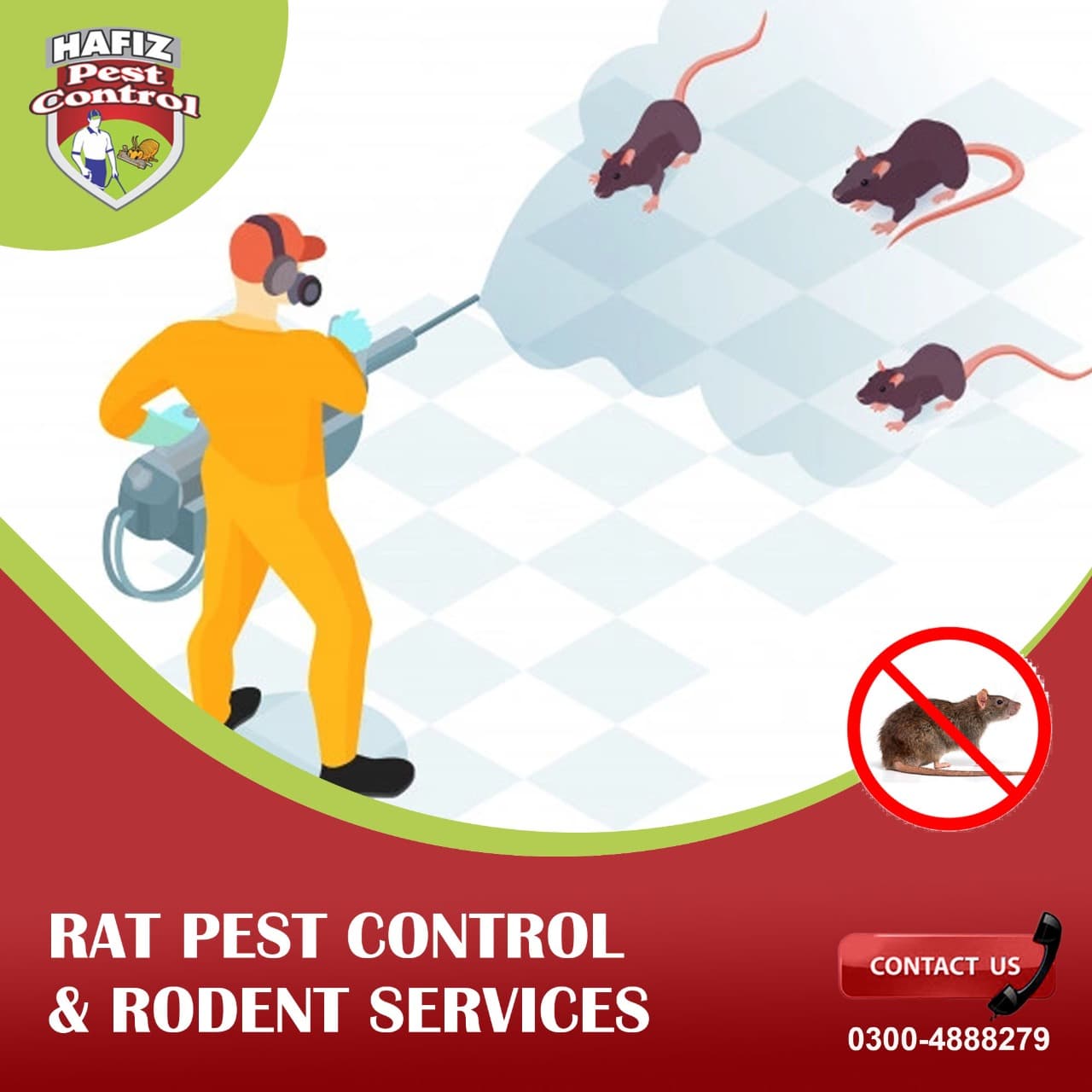 Rat Pest Control and Rodent Services Lahore