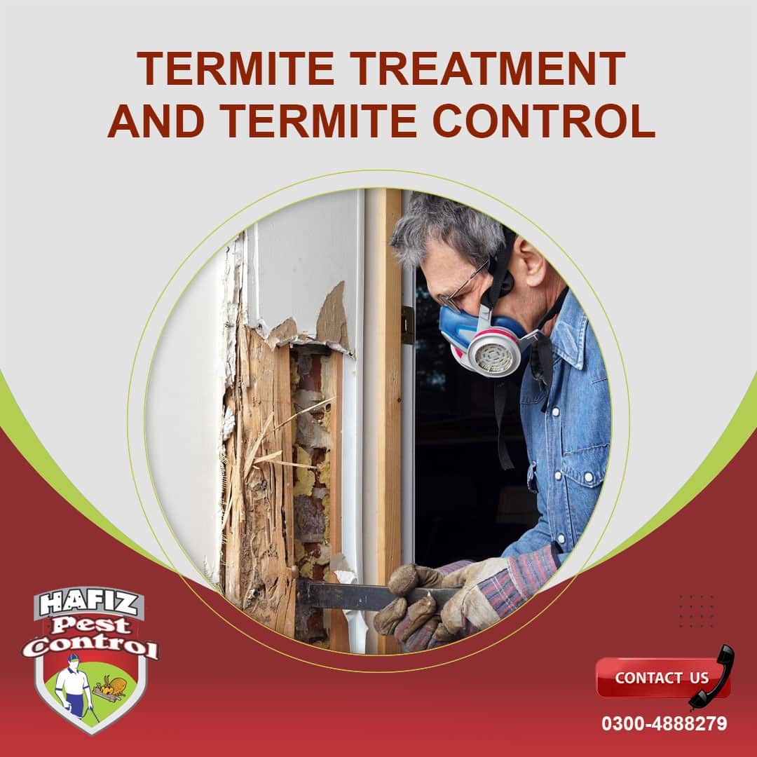 Termite Treatment and Termite Control in Lahore | HafizPestControl