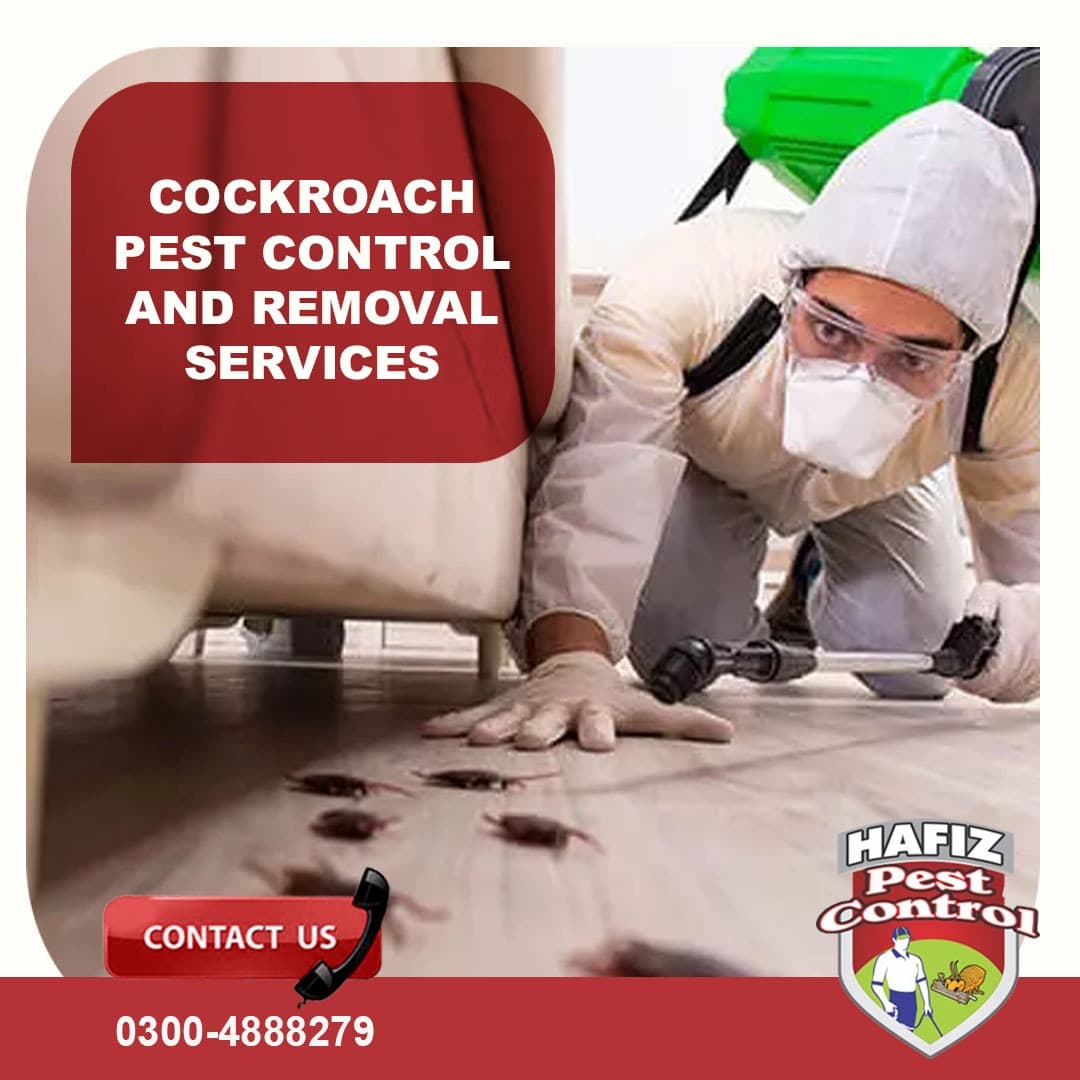 Cockroach Pest Control and Removal Services