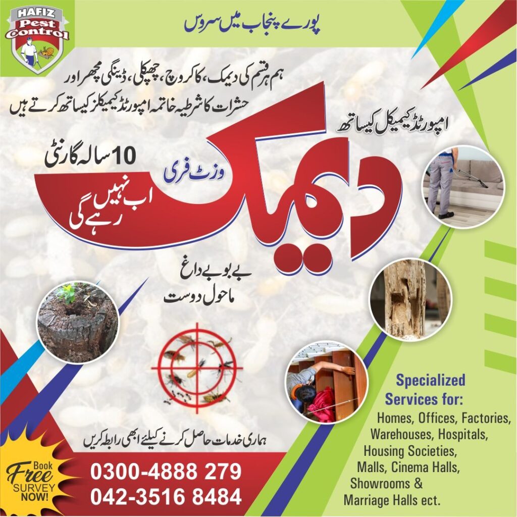 Deemak Control in Lahore - Hafiz Pest Control