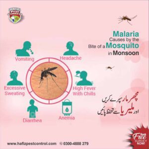 dengue spray in lahore