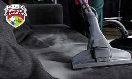 Best Steam Upholstery Cleaner for Sofas