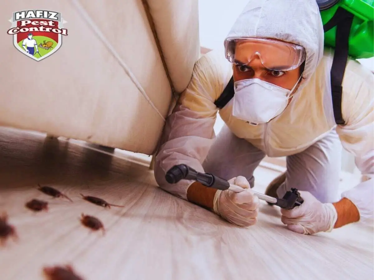 Cockroach Control Services in Pakistan