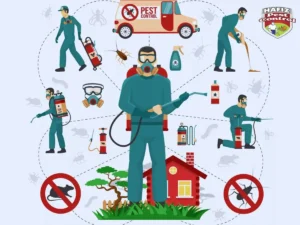 Pest Control Services in Lahore
