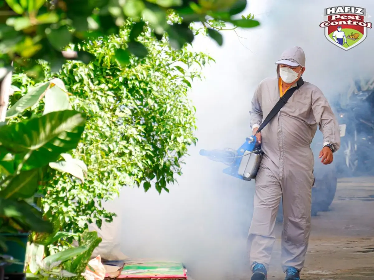 mosquito spray services in Pakistan
