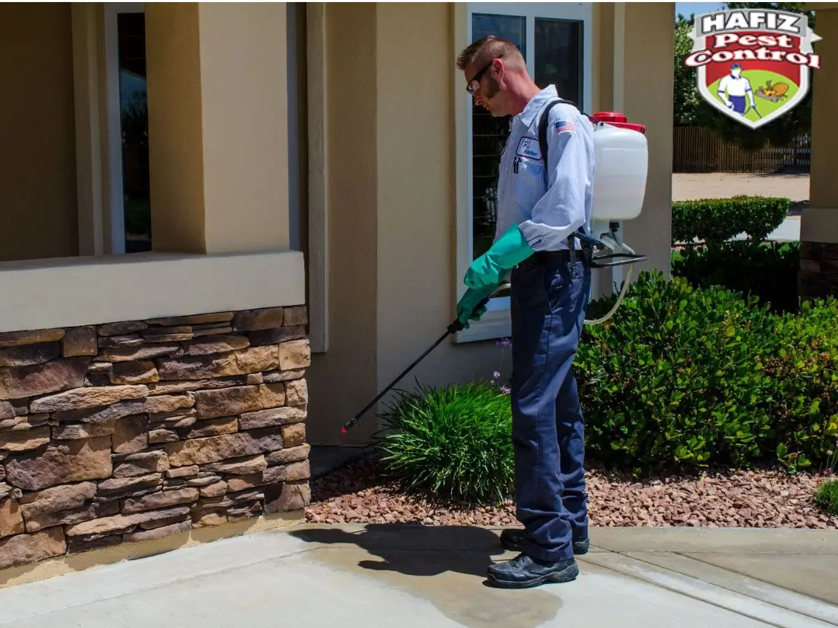 Residential Pest Control Services in Lahore, Pakistan - HPC