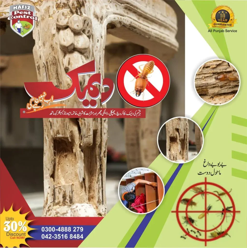 Termite Exterminator in Lahore, Fumigation and Demak Control in Pakistan