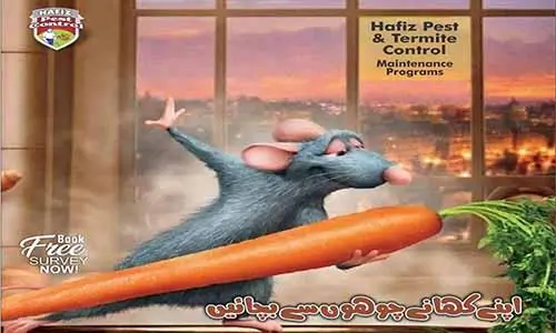Rodent Killer Poison Spray in Pakistan
