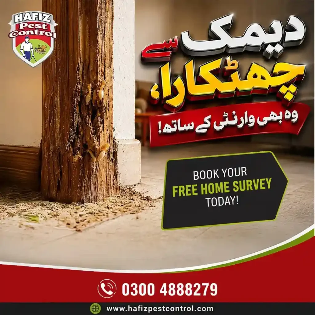Deemak Control-in-Lahore