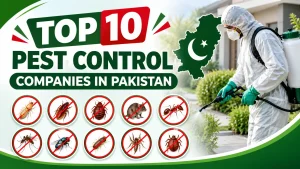 top 10 pest control companies in Pakistan 2026