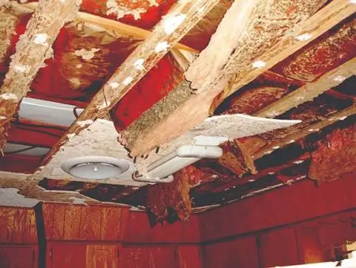 termites in False Ceilings, Roof Wood and Attic Spaces