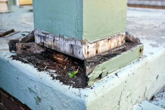 termites Under Floors and Around the Foundation